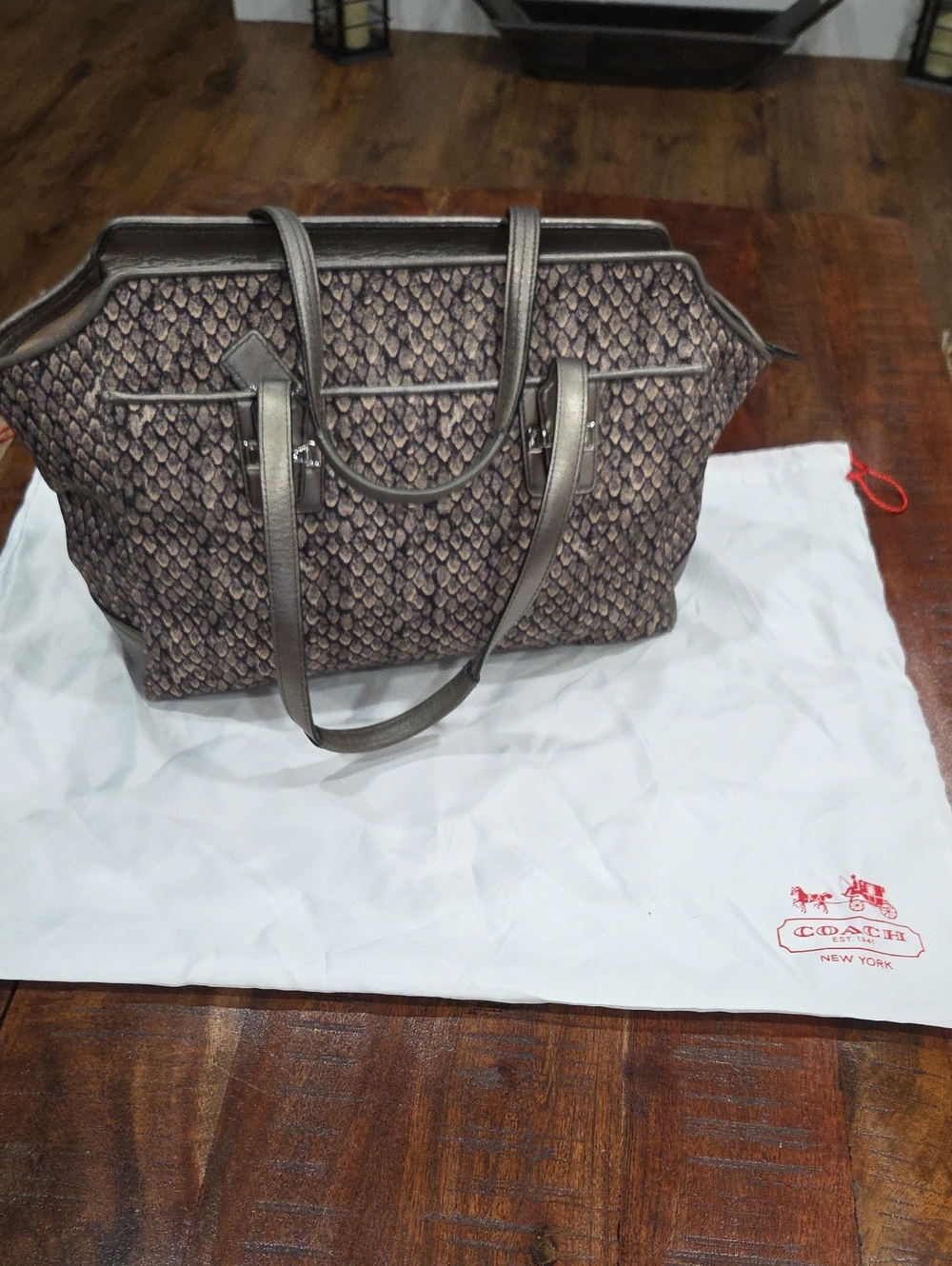 Coach Bag